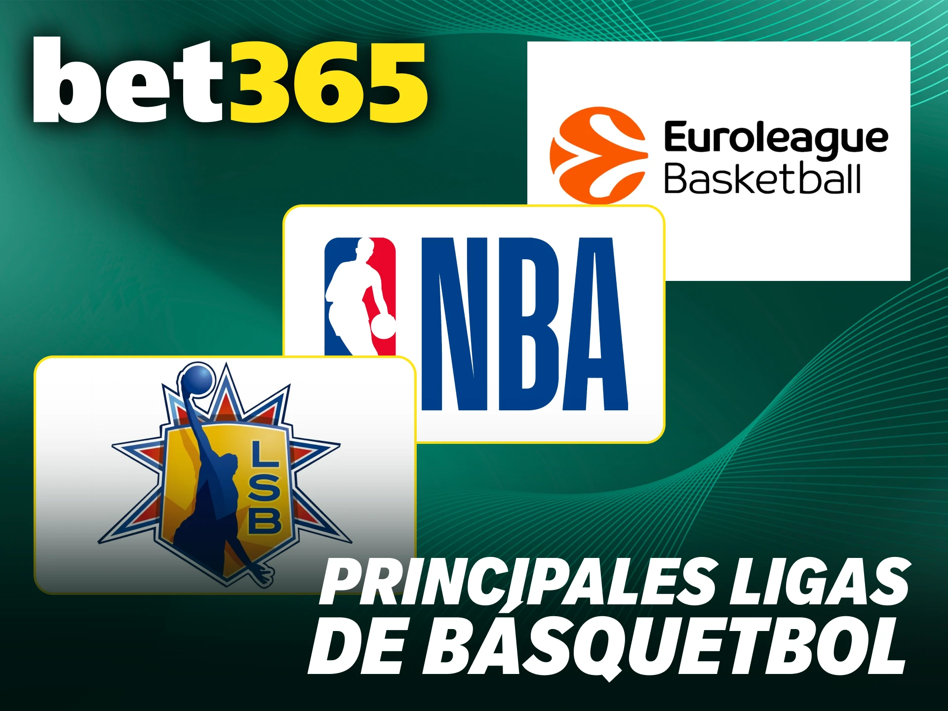 Encuentra las ligas más importantes para tus apuestas de básquetbol en Bet365.