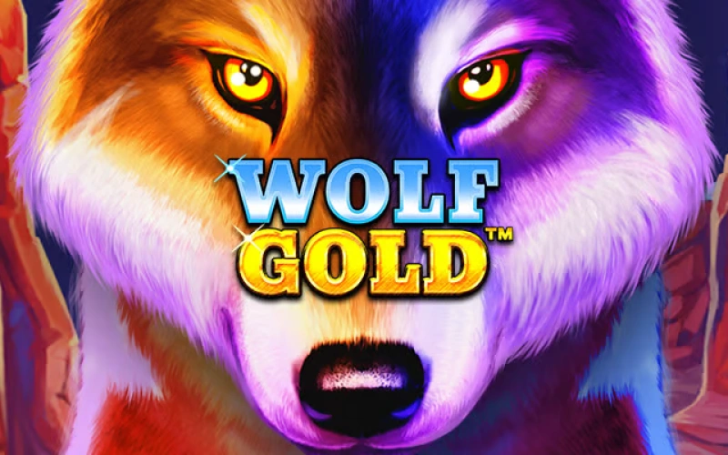 Apuesta en Wolf Gold en Bet365 y caza los mejores premios.